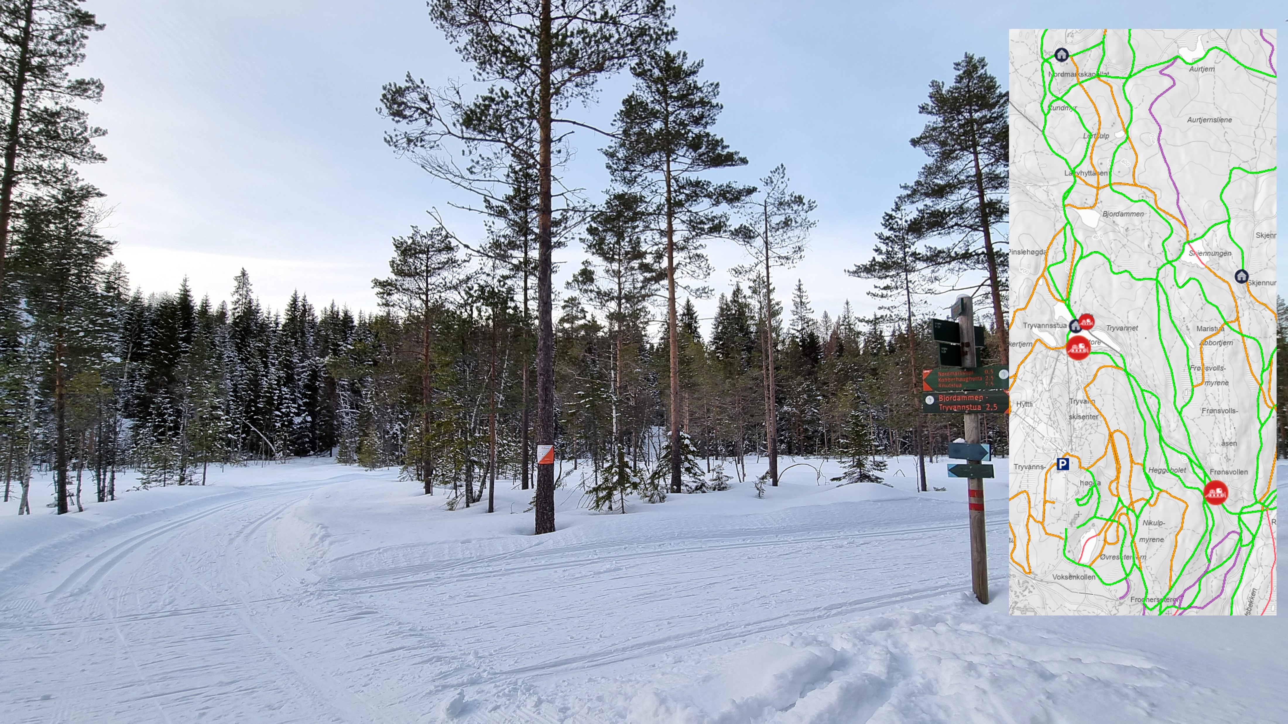 Beste påsken i marka på mange år!